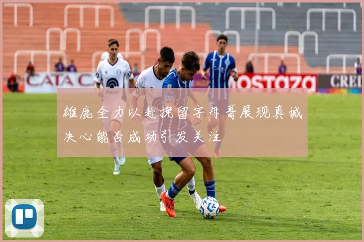 雄鹿全力以赴挽留字母哥展现真诚决心能否成功引发关注